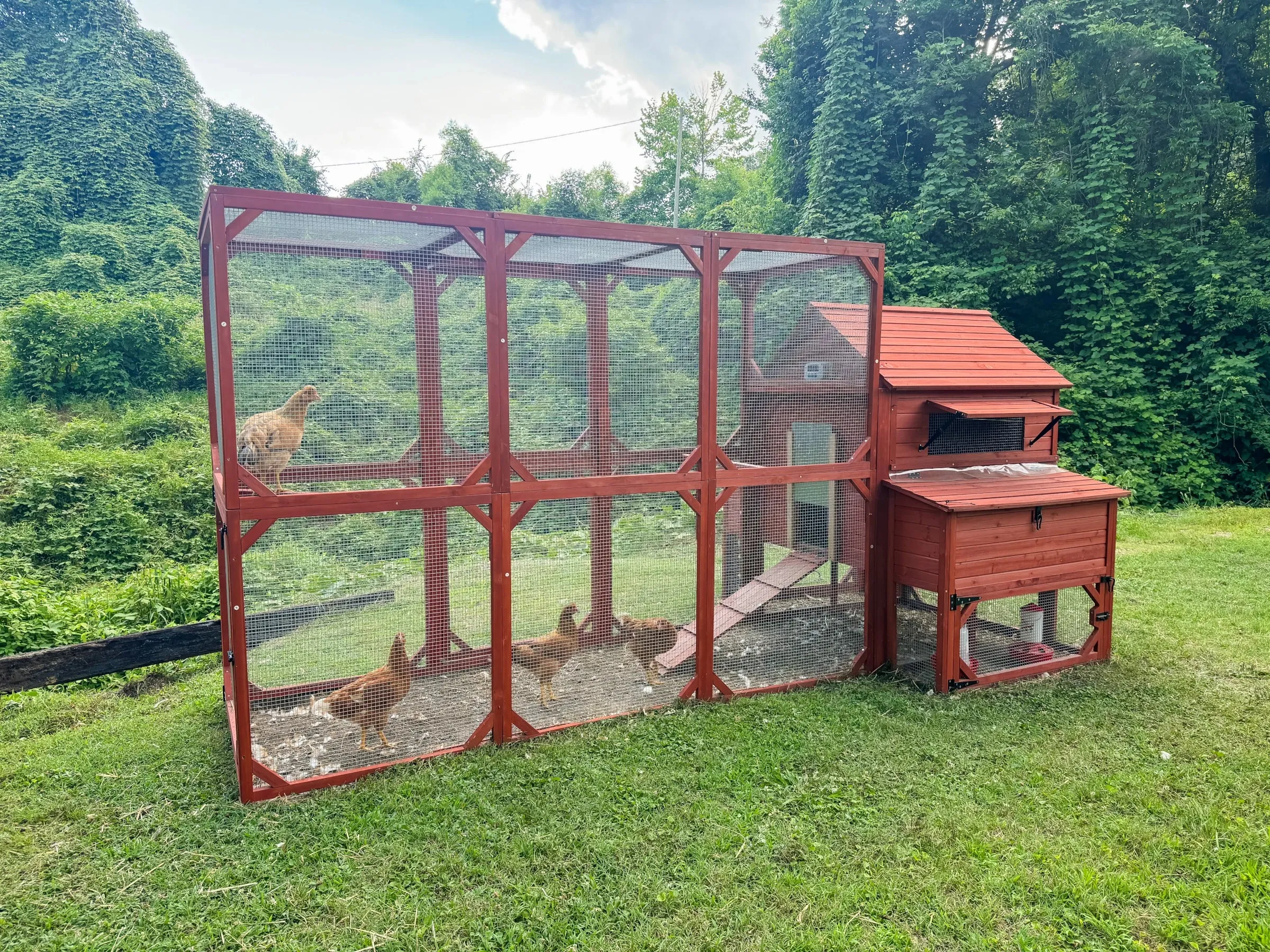 BUNDLE: Rhode Island XL Chicken Coop   Run Extension   Run Roof