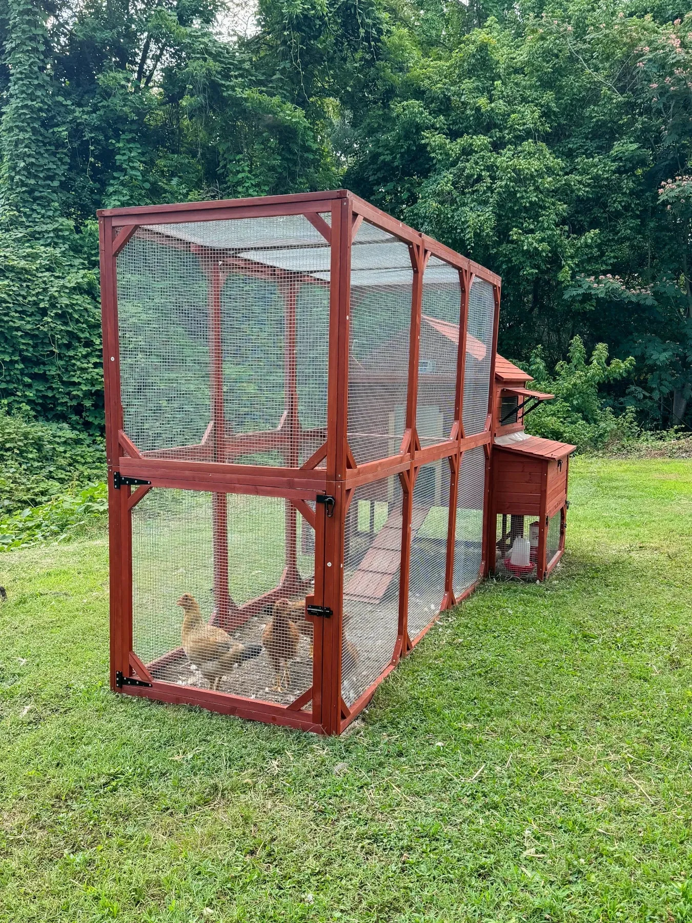 BUNDLE: Rhode Island XL Chicken Coop   Run Extension   Run Roof