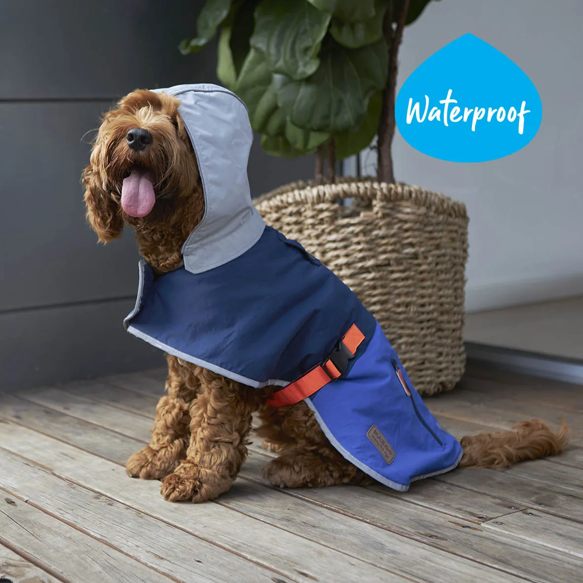 Cosy Dog Rain Coat - Blue Zest