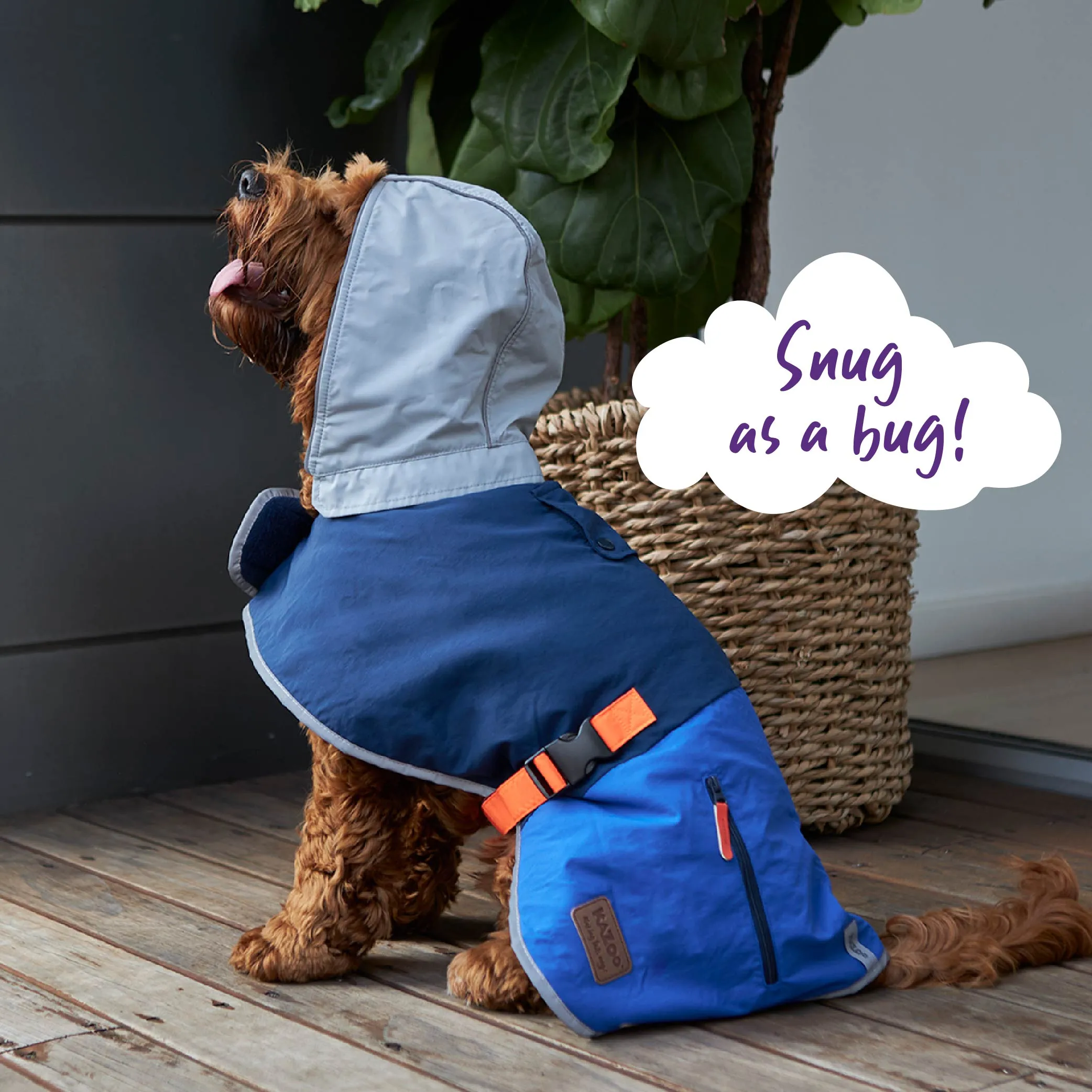 Cosy Dog Rain Coat - Blue Zest