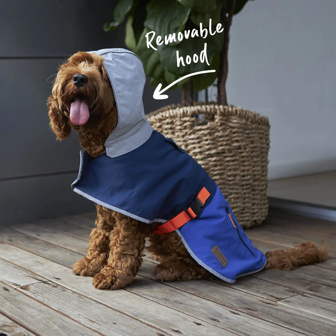 Cosy Dog Rain Coat - Blue Zest