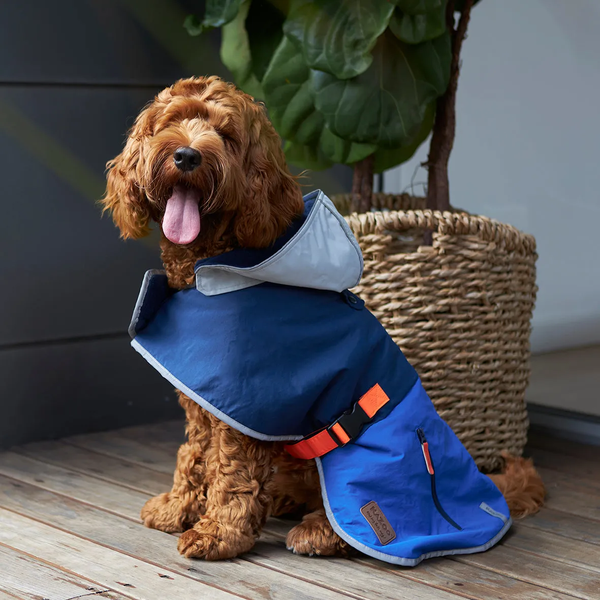 Cosy Dog Rain Coat - Blue Zest