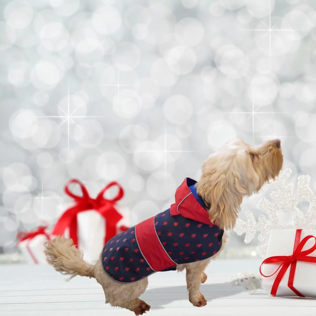 Cupid & Comet | Dog Christmas Coat | Luxury Navy Forest Raincoat