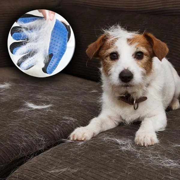 Deshedding Pet Grooming Glove