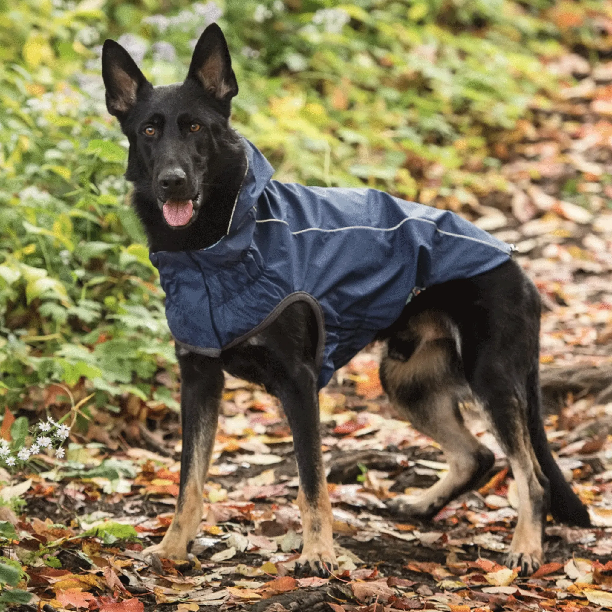 GF Pet Reversible Navy Dog Rain Jacket