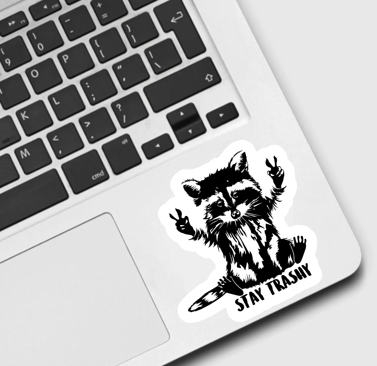 Raccoon Stay Trashy Sticker