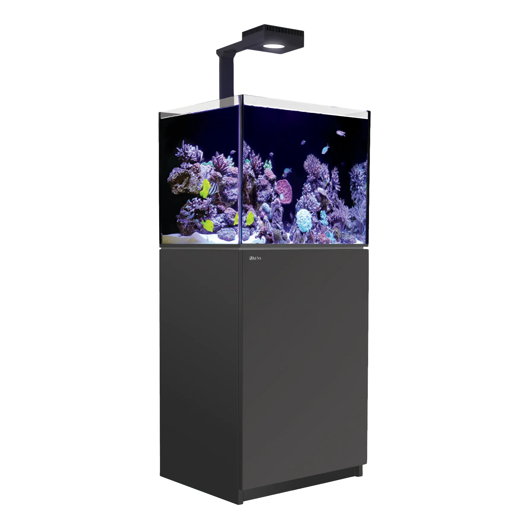 RedSea Reefer 170 G2 Deluxe (incl.ReefLED 90) - Black