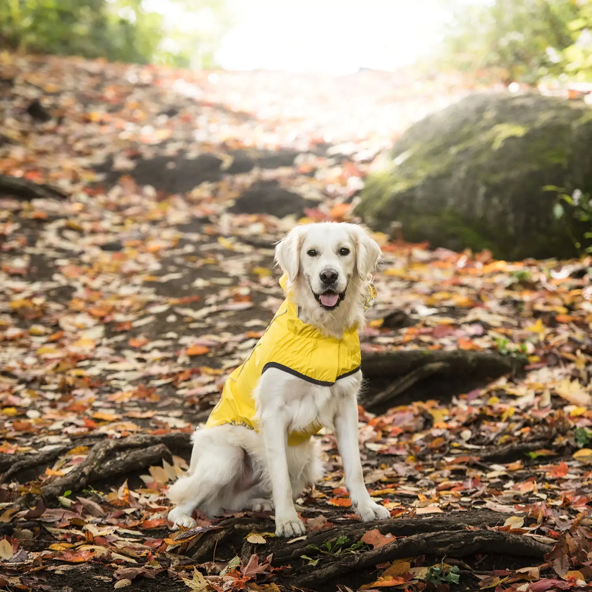 Reversible Dog Raincoat - Yellow / Leaves. Reflective Piping.