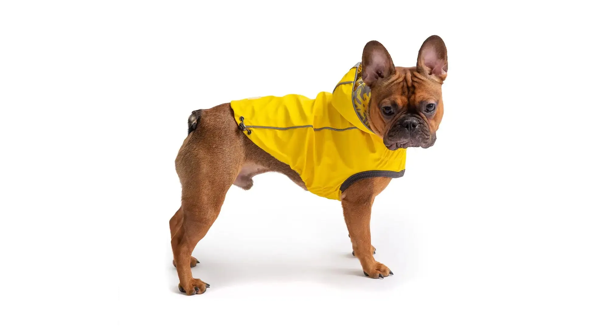 Reversible Dog Raincoat - Yellow / Leaves. Reflective Piping.