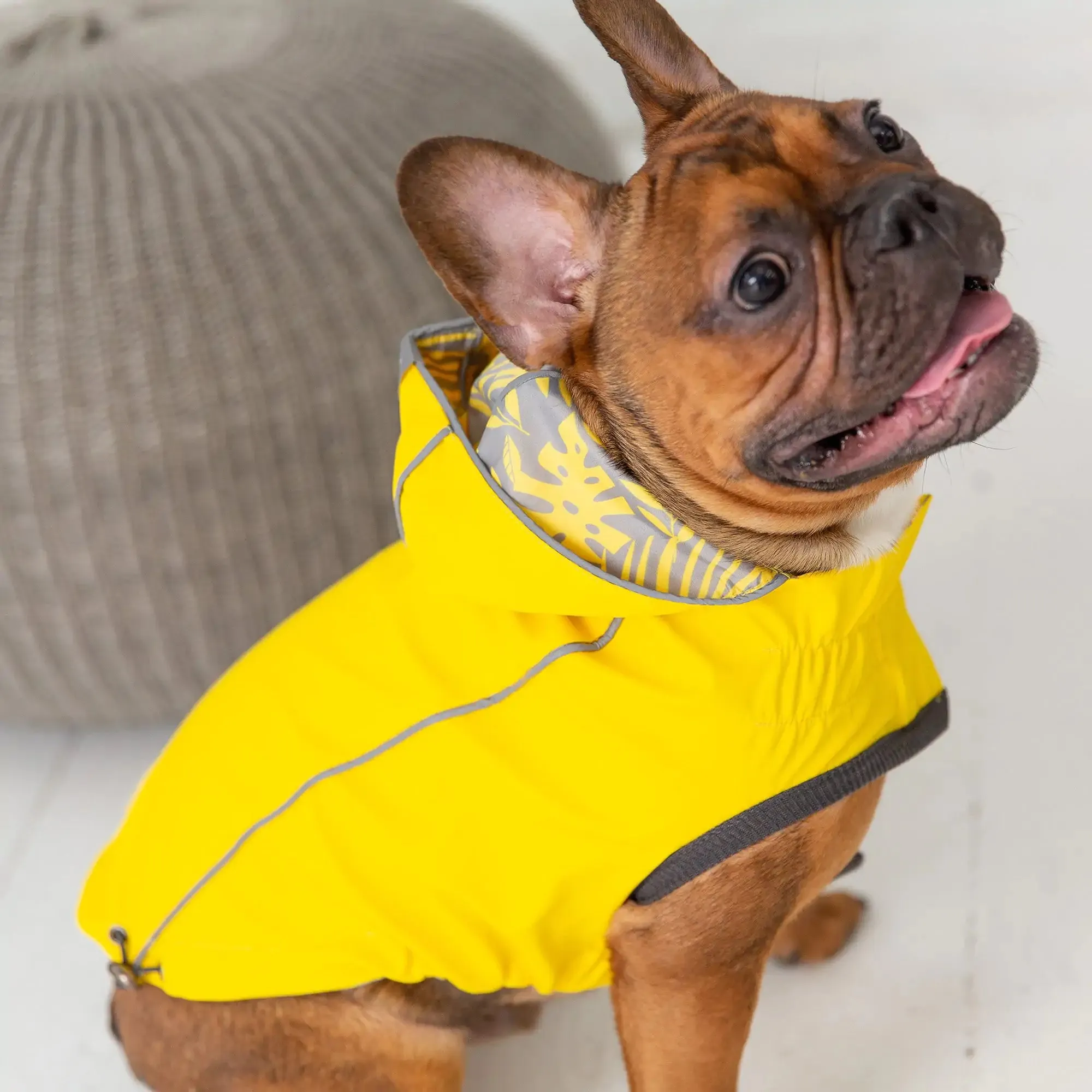 Reversible Dog Raincoat - Yellow / Leaves. Reflective Piping.