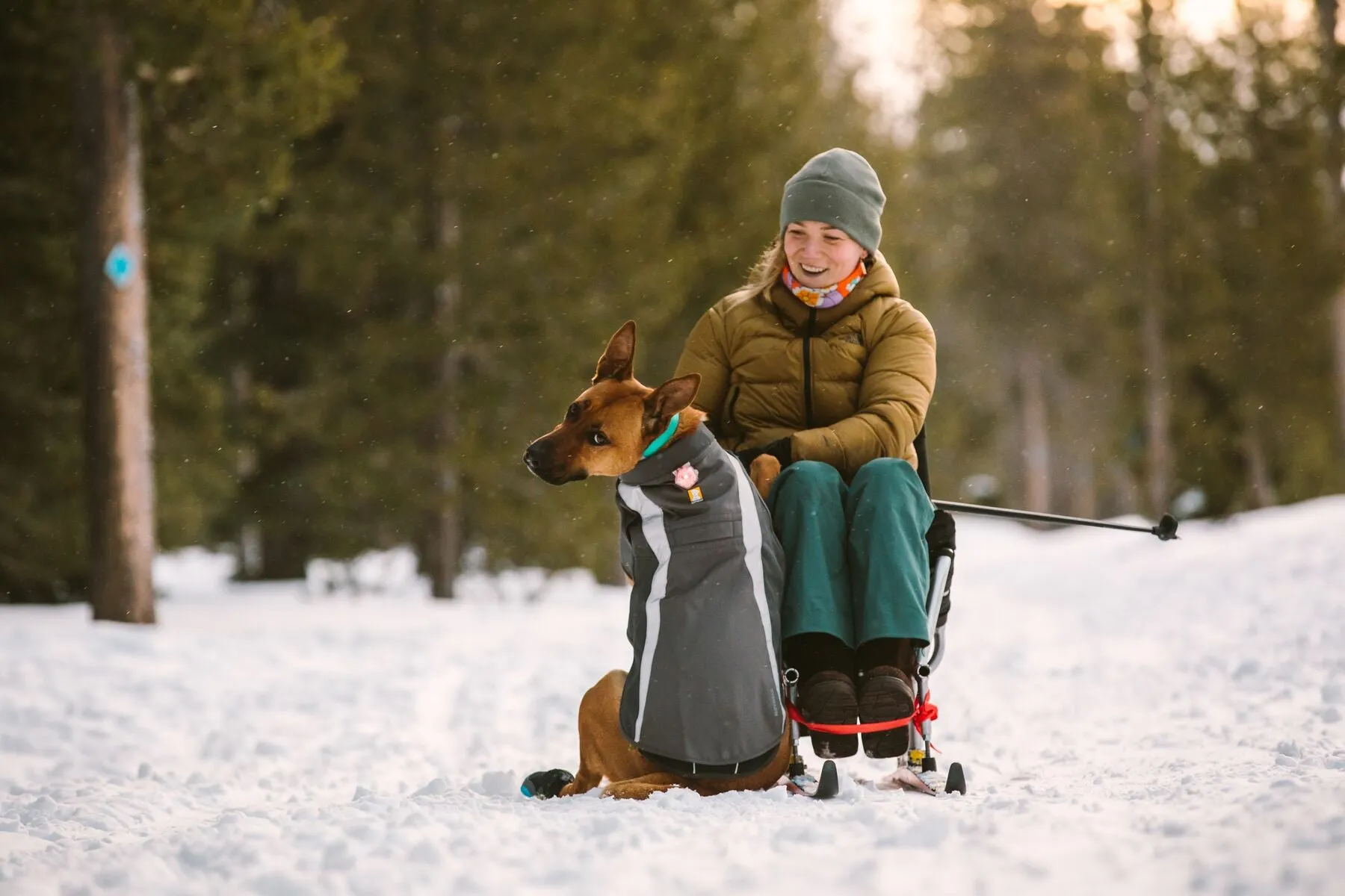 Ruffwear Dog Hi-Vis Jacket: Lumenglow