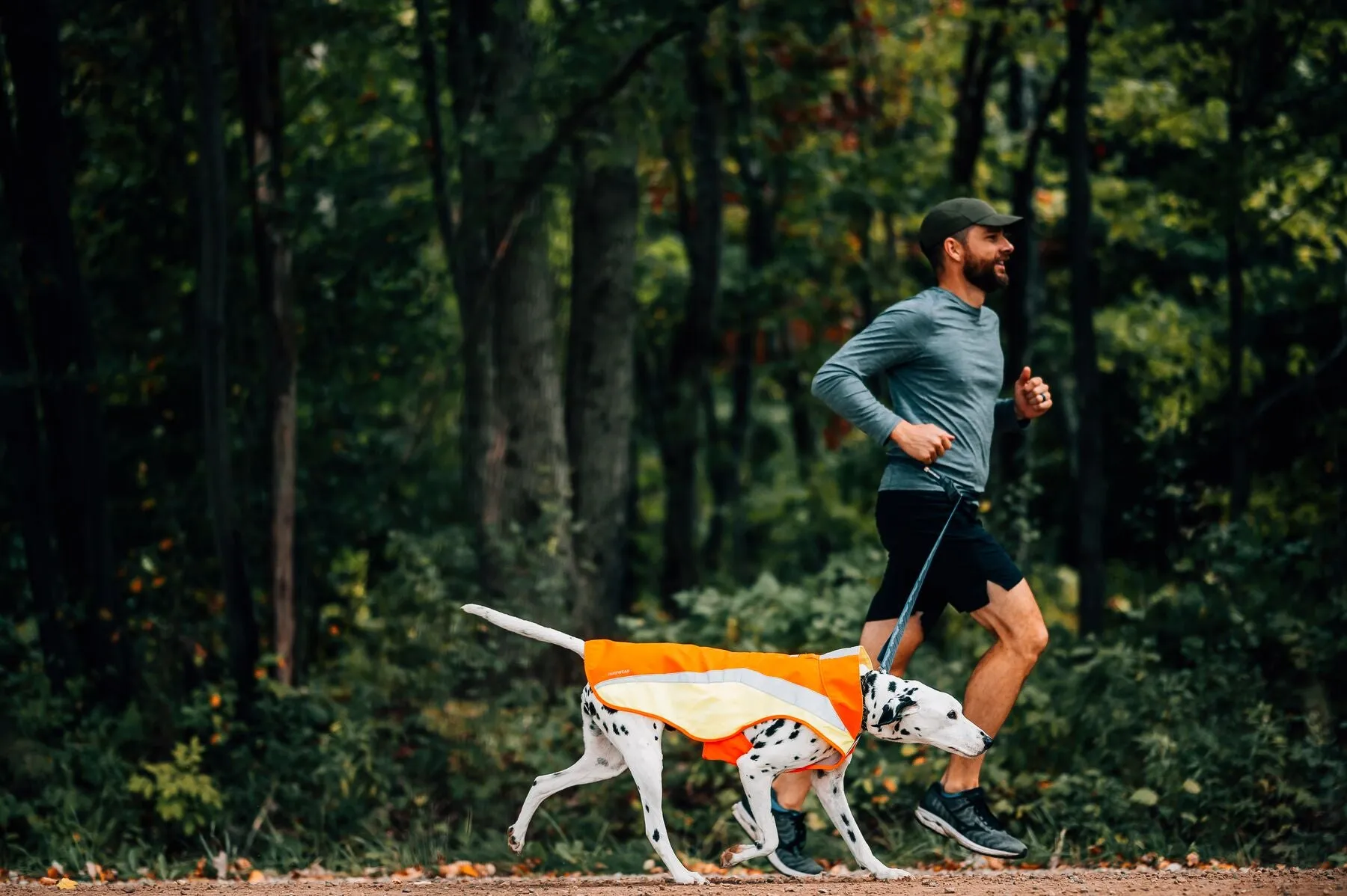 Ruffwear Dog Hi-Vis Jacket: Lumenglow