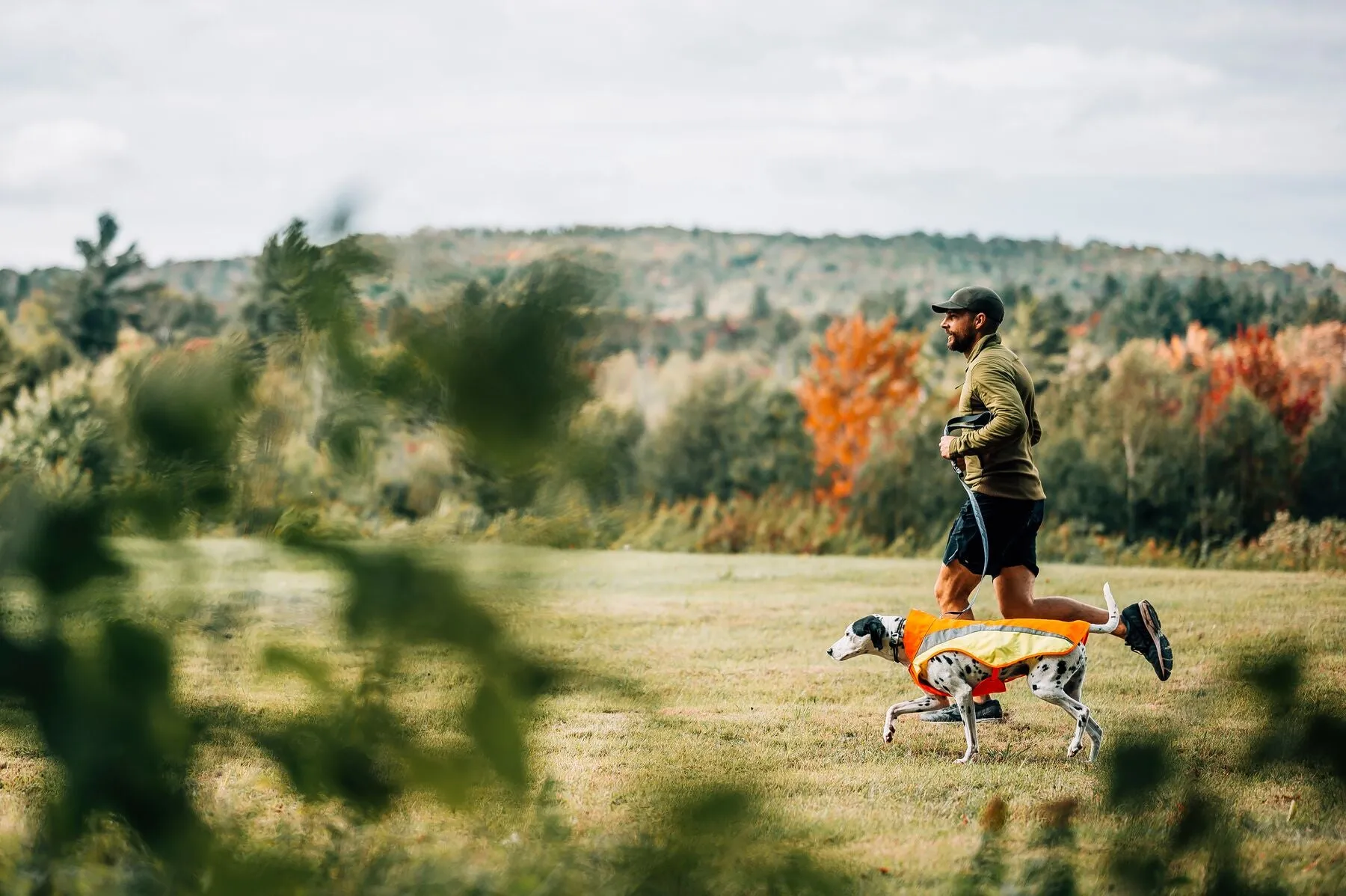 Ruffwear Dog Hi-Vis Jacket: Lumenglow