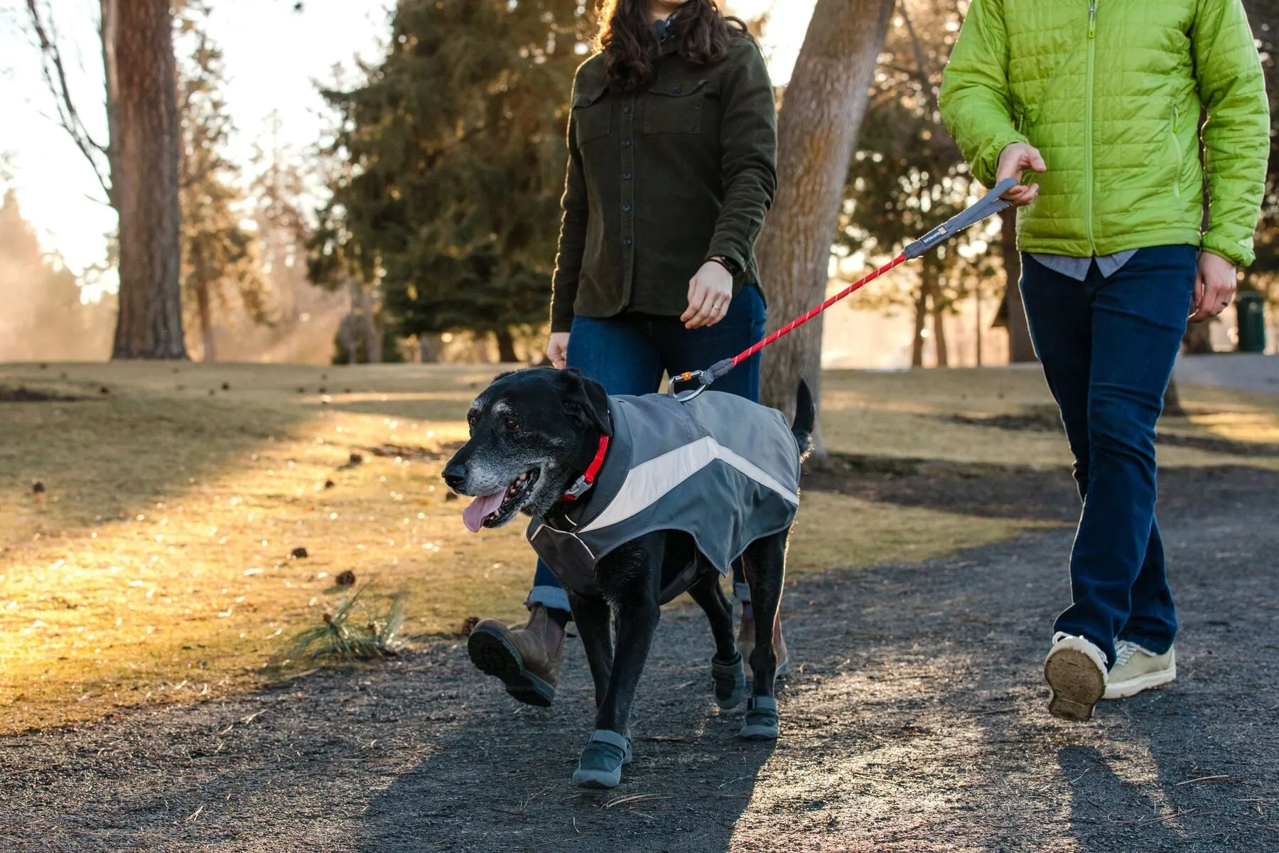 Ruffwear Dog Hi-Vis Jacket: Lumenglow