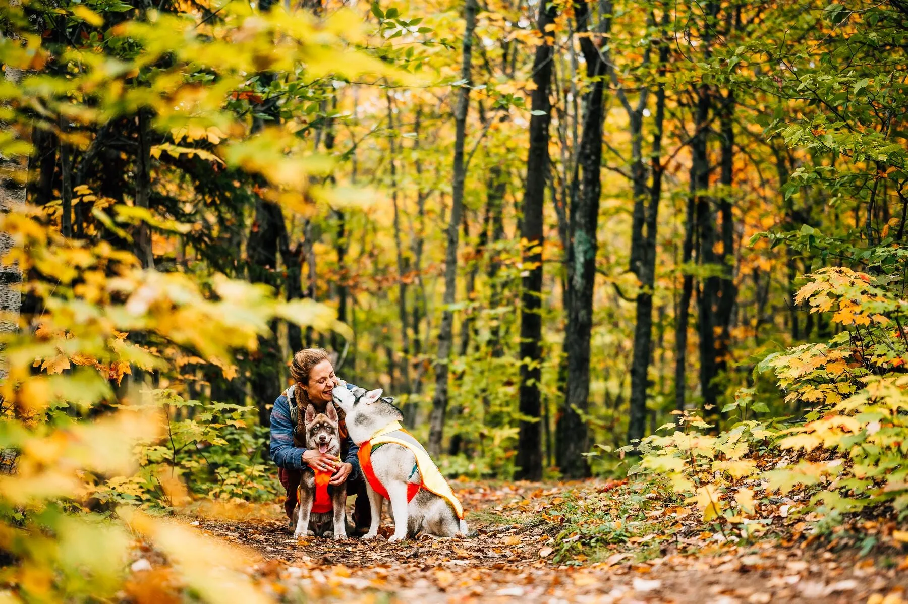 Ruffwear Dog Hi-Vis Jacket: Lumenglow