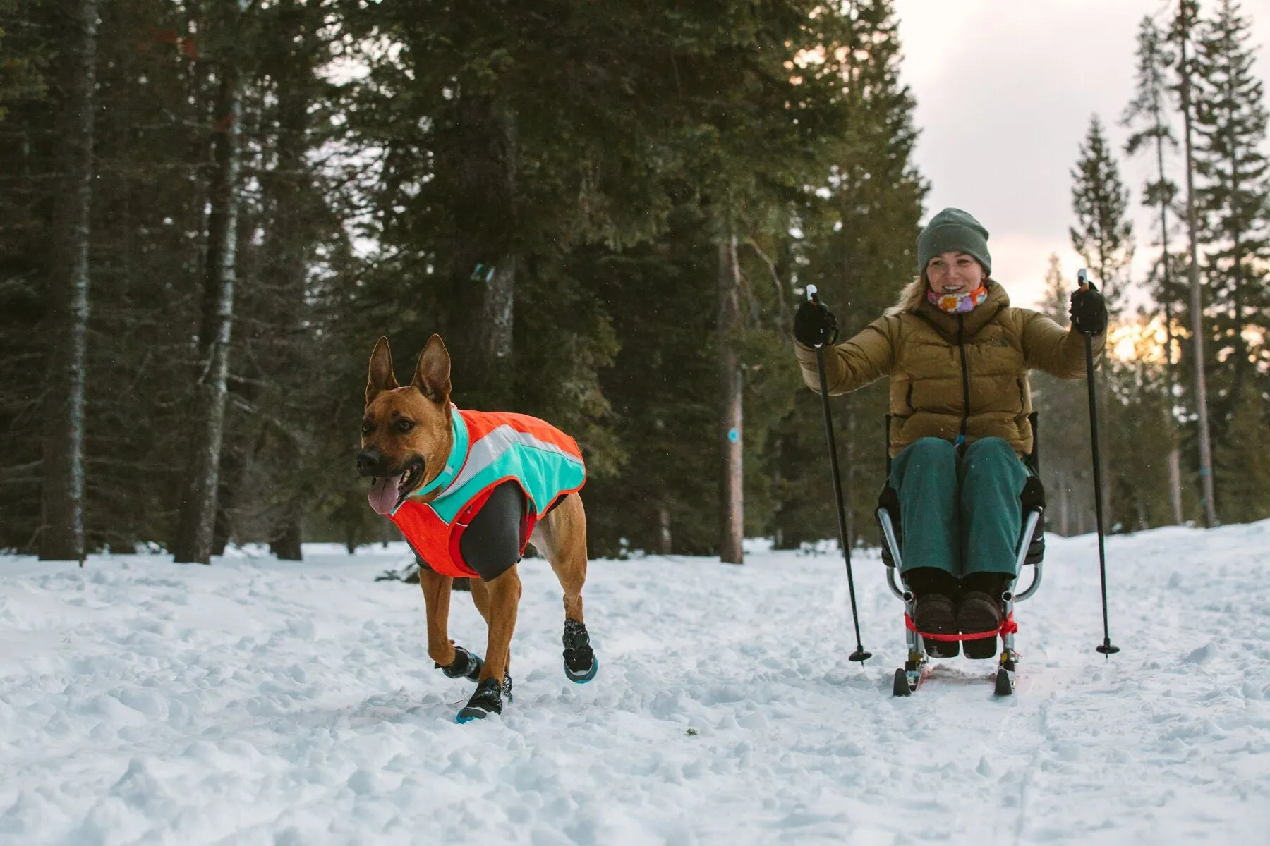 Ruffwear Dog Hi-Vis Jacket: Lumenglow